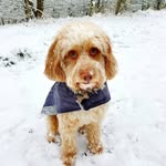 Howard Partridge - @buddyboy25271 - Instagram