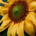 Howard Pennington - Facebook
