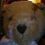 Perkins Howard - @perkins_howard_1999 - Instagram