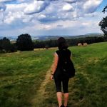 Piper - @piper_____howard_joy - Instagram