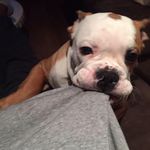 Howard Randall - @howardrandall28 - Instagram