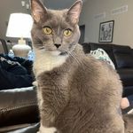 Donna Randolph Howard - @donnarandolphhoward - Instagram