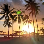 Ross H Ritter - @rhowardritter - Instagram