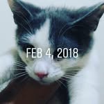 Howard Roark - @howardroarkq - Instagram