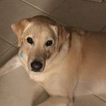 Howard Robbins - @robbinshoward - Instagram