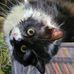 Howard Roper - Facebook