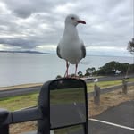Paul Howard Rush - @paul_howard_rush - Instagram