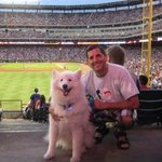 Howard Sacks - @odgrescuedallas - Instagram