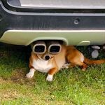 Howard - @howard.shen913 - Instagram
