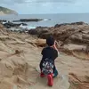 Howard Shen - @31921514033 - TikTok