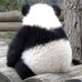 Howard Shen - Facebook