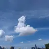 大皮皮吃皮蛋 - @howardshen8 - TikTok
