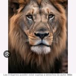 howard silva - @howardsilva284 - Instagram