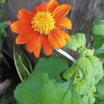 Howard Smith - Facebook