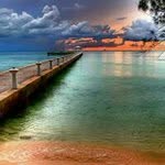 Howard Springer - @howardspringer - Instagram