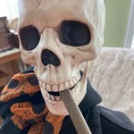 Howard - @howardstillhellraising - Instagram