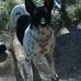 Patricia Howard-Stout - Facebook