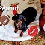 Howard Stover - @howard.stover.58 - Instagram
