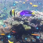 Howard Tai - @howard.tai.7374 - Instagram