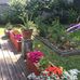 Howard Thurston - Facebook