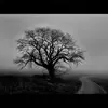 Howard Thurston - @howard.thurston - TikTok