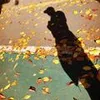 Howardtien - @31794163265 - TikTok