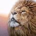 Howard Tipton - Facebook