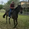 Howard Turin - @howardturin - TikTok