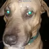 Howard Walls - @howardwallsjr1234 - TikTok