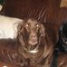 Howard T. Weir III - Facebook