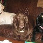 Howard Weir - @howard.weir - Instagram