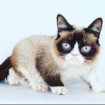 mahe - @howard_winerman - Instagram