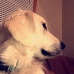 Winston Howard - @winston._.howard - Instagram