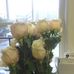 Dr Howard Yeager - Facebook