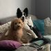 Howie Jones - Facebook