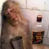 howie_Smith - @joward.com - TikTok
