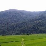 Chih Hsiang Lai - @laichihhsiang - Instagram