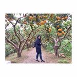 Hsiang-chi Lai - @l.h.c0721 - Instagram