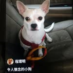 Hsiao Ling Tseng - @hsiaolingt - Instagram
