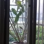 Hsien Chun Yeh - @hsienchunyeh - Instagram