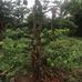 Huan Duong - Facebook