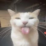 Huân Dương - @xionvnn - Instagram