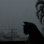 Hubert Adamski - @hubert.adamski - Instagram