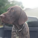 Hubert - @hubertofburton - Instagram