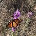 Kelley Compton Holbert - Facebook