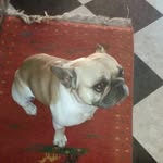 hubert conrad - @hubertconrad - Instagram