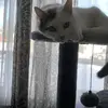 Ilumnato_13579_2 - @hubertfcote - TikTok