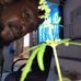 Hubert Crawford - Facebook