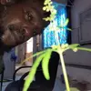 hubertcrawford173 - @hubertcrawford173 - TikTok