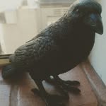 Hubert Crowing - @hubertdacrow - Instagram